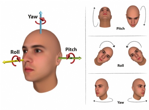 Orientation-of-the-head-in-terms-of-pitch-roll-and-yaw-movements-describing-the-three.png