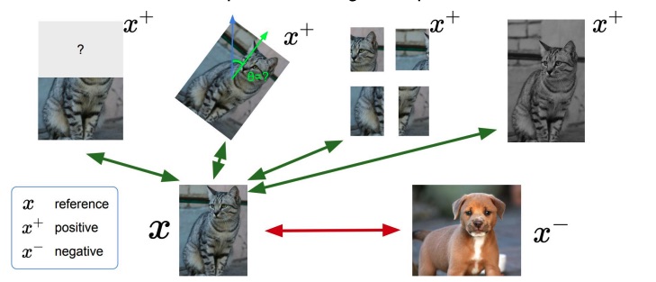 Screenshot 2024-01-13 at 12.51.10 PM.png